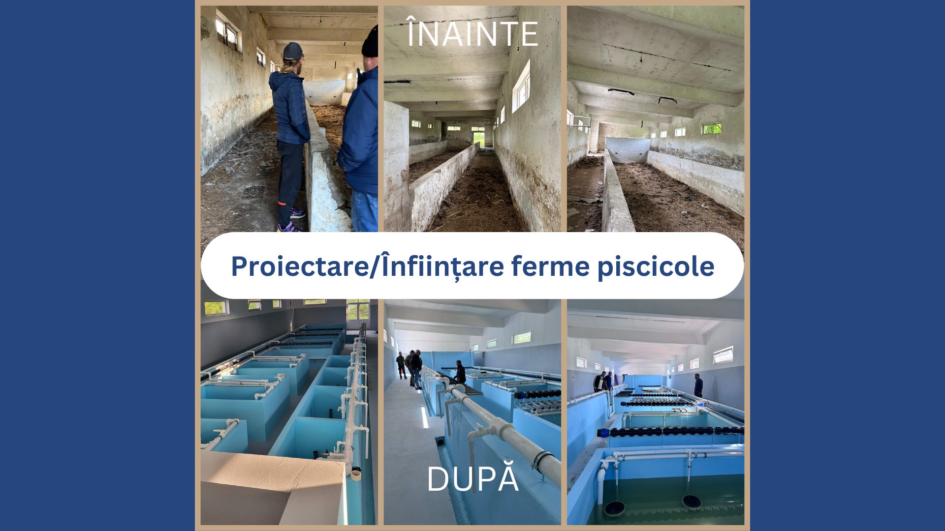 O comparație vizuală între starea inițială și finală a unei ferme piscicole. Partea de sus a imaginii arată starea inițială a fermei piscicole, cu clădiri vechi și neamenajate, marcată cu textul "ÎNAINTE". Partea de jos prezintă modernizarea și amenajarea completă a fermei piscicole, cu echipamente moderne și bazine de creștere a peștilor, marcată cu textul "DUPĂ". În mijloc, textul "Proiectare/Înființare ferme piscicole" subliniază serviciile oferite pentru transformarea completă a fermelor piscicole.