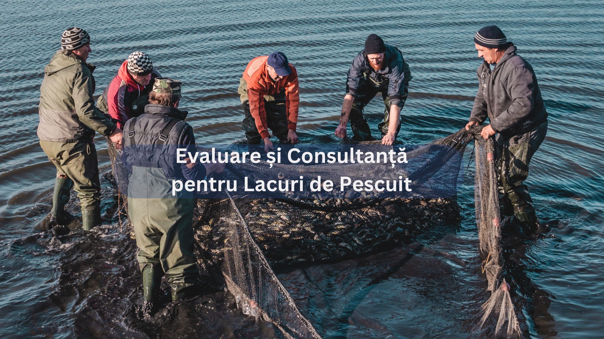 Un grup de pescari lucrând împreună pentru a scoate peștii dintr-un lac folosind o plasă mare. Textul de pe imagine spune: "Evaluare și Consultanță pentru Lacuri de Pescuit".