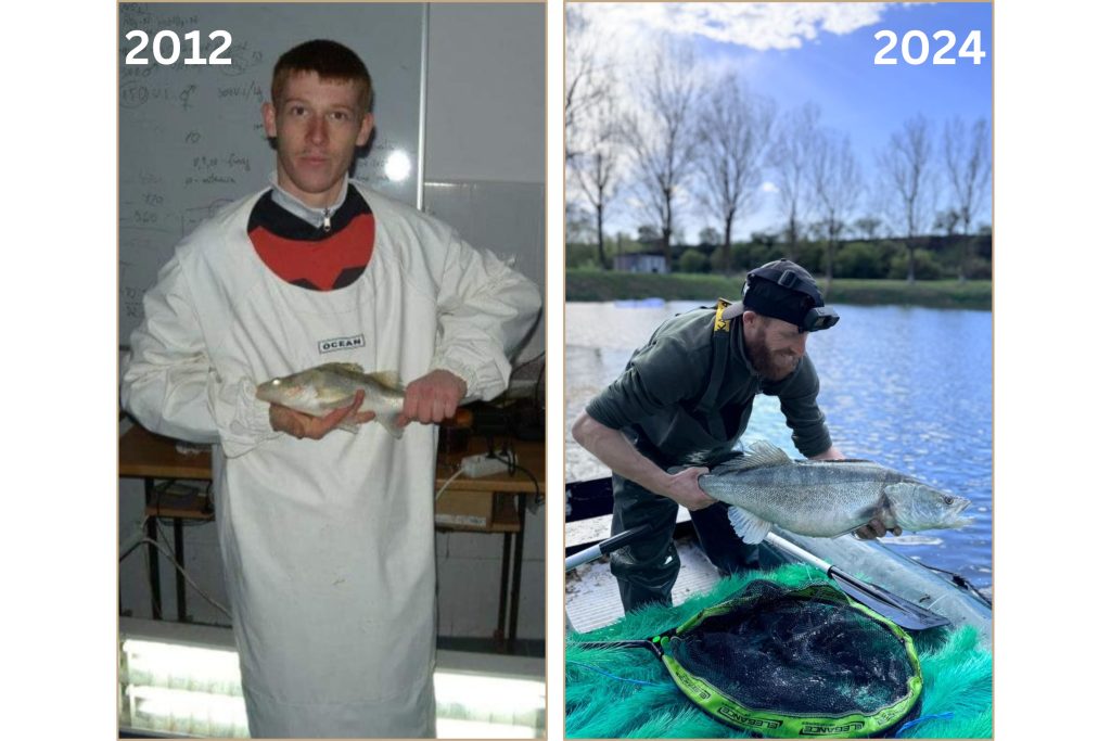 Comparație între anii 2012 și 2024, ilustrând progresul profesional al lui Roland Ciolan. În 2012, Roland, proaspăt absolvent și entuziast al pisciculturii, ținând un pește mic în laborator. În 2024, Roland, acum un inginer piscicol experimentat și proprietar al Genesis FishFarm Consulting, manipulează un pește mare, demonstrând evoluția sa și succesul în domeniul creșterii și managementului piscicol.