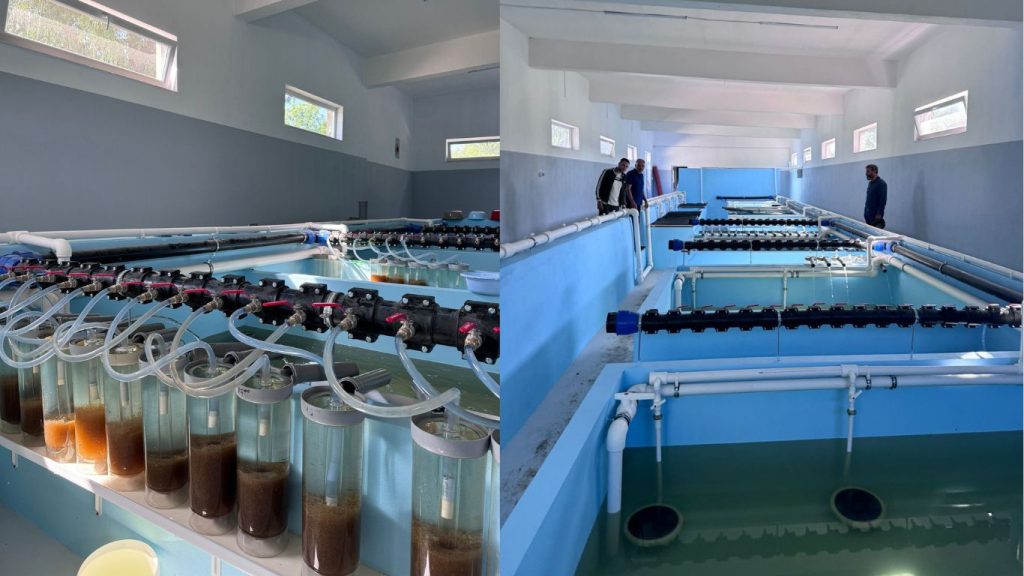 Interiorul unei instalații moderne de fermă piscicolă, cu bazine și sisteme de filtrare avansate, monitorizate de personal specializat pentru reproducerea și creșterea peștilor.