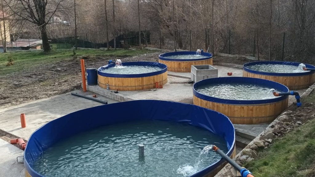 Bazine circulare pentru păstrăvărie în aer liber, cu sisteme de circulație și oxigenare a apei, pregătite pentru reproducerea și creșterea peștilor.